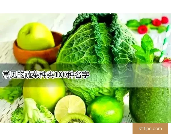 世界杯胜负预测深度解析与球队实力对比全面指南